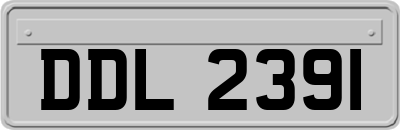 DDL2391