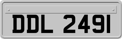 DDL2491