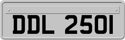 DDL2501