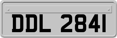 DDL2841