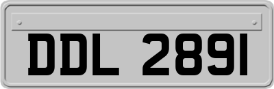 DDL2891