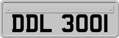 DDL3001