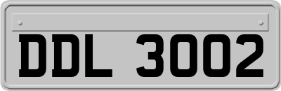 DDL3002