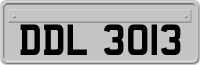 DDL3013