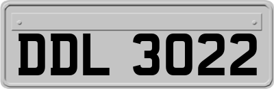 DDL3022