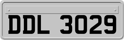 DDL3029