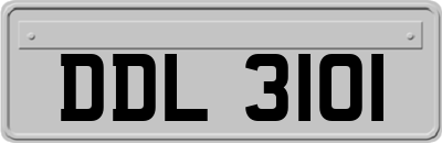 DDL3101