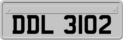 DDL3102