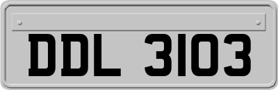 DDL3103
