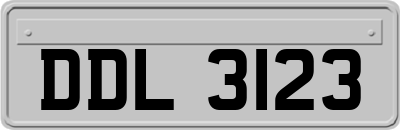 DDL3123