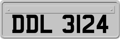 DDL3124