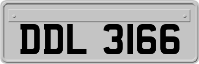 DDL3166