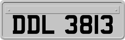 DDL3813