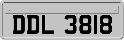DDL3818