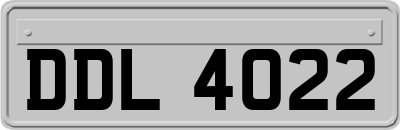DDL4022