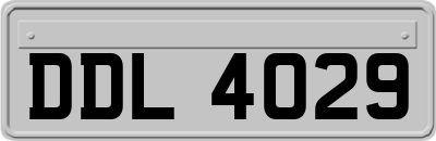 DDL4029