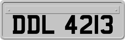 DDL4213