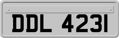 DDL4231
