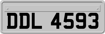 DDL4593