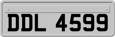 DDL4599