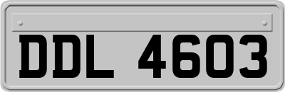 DDL4603