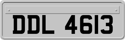 DDL4613