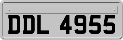 DDL4955