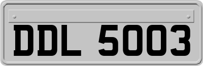 DDL5003