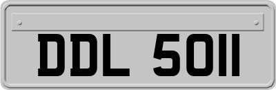DDL5011