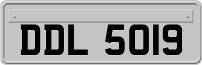 DDL5019