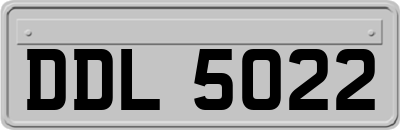 DDL5022