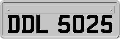 DDL5025