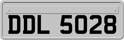 DDL5028