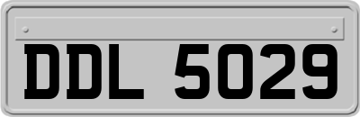 DDL5029
