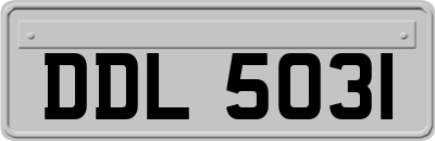 DDL5031