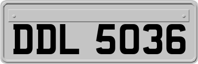 DDL5036