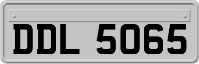 DDL5065