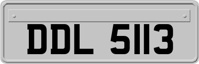 DDL5113