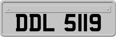 DDL5119