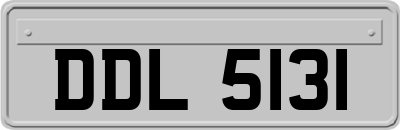DDL5131