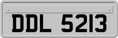 DDL5213