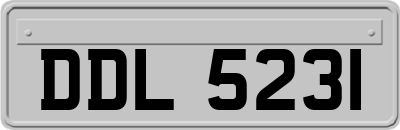 DDL5231