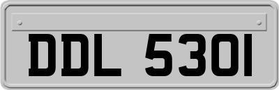 DDL5301