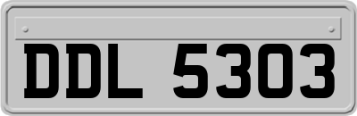 DDL5303