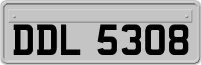DDL5308