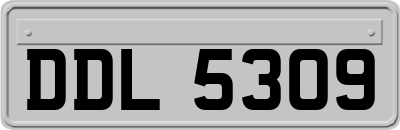DDL5309