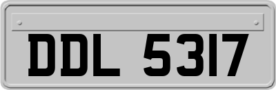 DDL5317