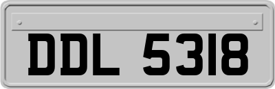 DDL5318