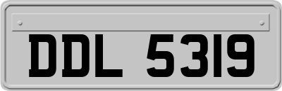 DDL5319