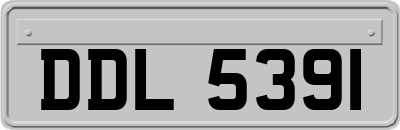 DDL5391